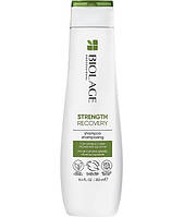 Шампунь для укрепления поврежденных волос Matrix Biolage Strength Recovery 250 мл (21861Gu)
