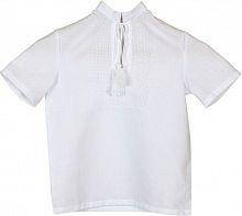 Сорочка для хлопчика під вишивку з коротким рукавом (стійкою) р.32