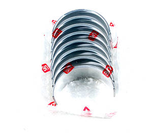 NPR (Японія) 181038000300 — Вкладки шатунні (8 шт., STD мм) на Renault Trafic 2 F9Q 1.9dci, фото 2