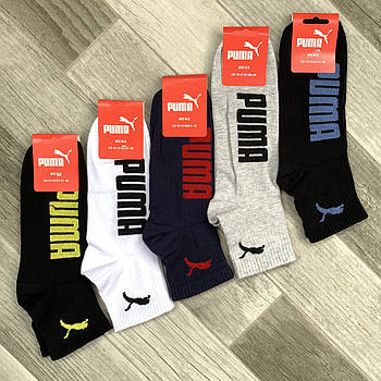Шкарпетки чоловічі демісезонні бавовна Puma, Туреччина, розмір 41-45, середні, асорті, 11614