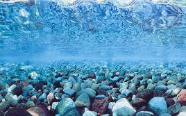 Фони для акваріумів