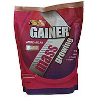 Гейнер Power Pro Gainer, 2 кг Лесная ягода