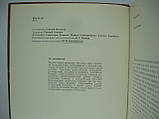 Стародавній Новгород. Історія. Мистецтво. Археология. Нові дослідження. Збірник статей (б/у)., фото 5
