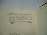 Стародавній Новгород. Історія. Мистецтво. Археология. Нові дослідження. Збірник статей (б/у)., фото 7