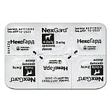 NexGard (Нексгард) таблетки жувальні від бліх та кліщів для собак від 4 до 10 кг (1 таблетка) Boehringer Ingelheim (Merial), фото 3