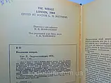 Кит (б/у)., фото 6