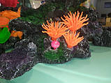 Декорація для акваріума Корал 8*5*8 см 1929AP, фото 2