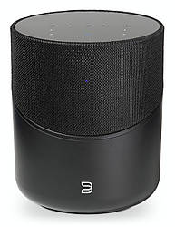 BlueSound Pulse M — Аудіосистема