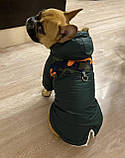 Зимовий одяг для собак, Куртка, фото 5