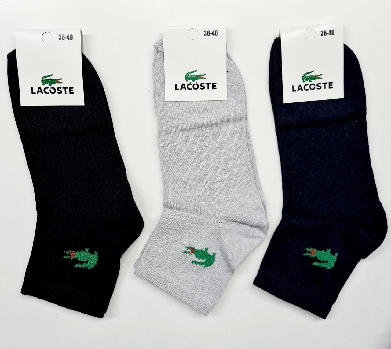 Спортивні шкарпетки Lacoste 36-40 Асорті