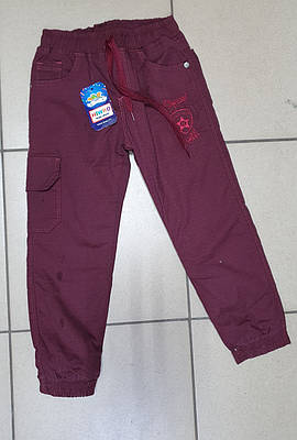 Джогери теплі HIWRO для хлопчика 4-7 років арт.1137, Розмір дитячого одягу (по зросту) 116, Колір Бордовий