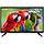 LED Телевізор 24" Mystery MTV-2450HT2 Black, фото 4
