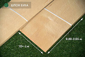 Шпон бука - 1,2 мм довжина від 0,80 - 2,05 м / ширина від 10 см (екстра)