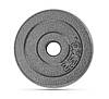 Металевий диск (блин) для гантелей і штанги вага 2 штуки 2,5 кг посадковий діаметр 25 мм, фото 2
