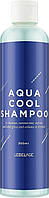 Шампунь для волос Lebelage Aqua Cool Shampoo 300 мл