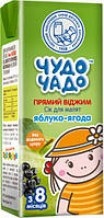 Чудо-Чадо Сок яблочно-ягодний (прямого отжима) 8м+ 200мл