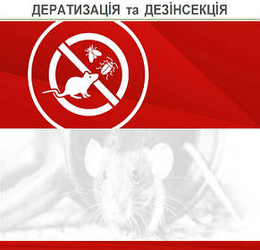 ДЕРАТИЗАЦІЯ та ДЕЗІНСЕКЦІЯ