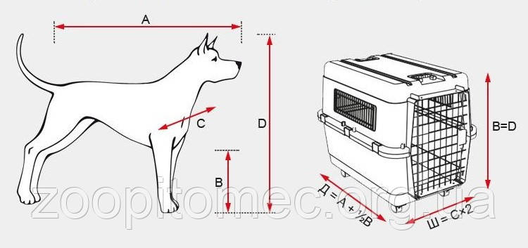 Як правильно вибрати переноску або клітку для собаки і кота?