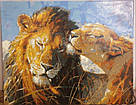 Акційна Картина за номерами Babylon Закохані леви (VP991) 40 х 50 см, фото 3