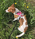 Шлея для собак Bororo Комфорт і контроль під час кожної прогулянки, фото 9