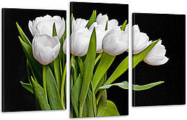 Модульна картина Квіти Тюльпани (53х100см) Art-86_3