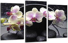 Модульна картина Квіти Орхідея Art-100_3