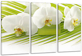 Модульна картина Білі Квіти Art-34_3А