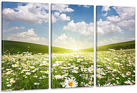 Модульна картина Полі Ромашки Аrt-170_3А