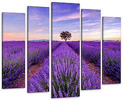 Модульна картина Полі лаванди Art-328_5 ( 80х118см )