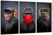 Модульная картина из 3 частей в гостиную спальню "Три мудрые обезьяны" Art-480_3 (100х53см) melmil