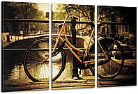 Модульная картина из 3 частей в гостиную спальню Велосипед Аrt-84_3А melmil