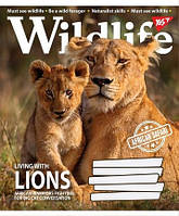 Зошит шкільний Yes 96 аркушів клітинка Wild life (5)