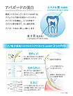 Apagard Premio Xtra Mint Високоефективна відбілююча зубна паста з нано-гідроксиапатитом, м'ята, 100 г, фото 6