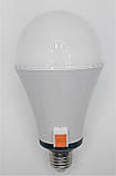 АВАРІЙНА світлодіодна  багатофункціональна LED-лампа зі змінним акумулятором, 24W, фото 6