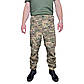 Штани чоловічі такичні Brotherhood Urban 3.0 мультикам, фото 2