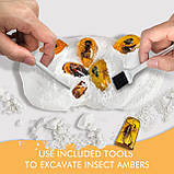 Науковий STEM-набір для розкопок Комахи, фото 2