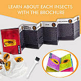 Науковий STEM-набір для розкопок Комахи, фото 4