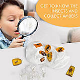 Науковий STEM-набір для розкопок Комахи, фото 6