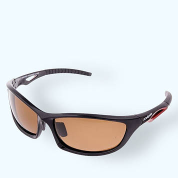 Окуляри Kalipso polarized BR1010SB/BR-B