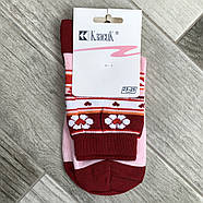 Шкарпетки жіночі демісезонні бавовна Класик, Черкаси, 7В-12, розмір 23-25, асорті, 01899, фото 2