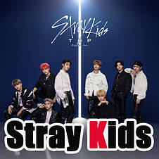 Атрибутика та сувеніри по тематиці Stray Kids