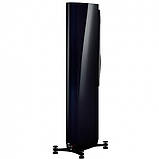 Dynaudio Confidence 30 Midnight High Gloss, фото 6