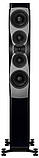 Dynaudio Confidence 50 Midnight High Gloss, фото 5