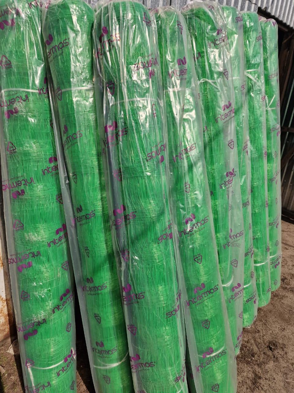 Сітка огіркова Угорщина 500м - 1.70м/500м, сітка для огірків шпалерна сітка для гороху, городна сітка