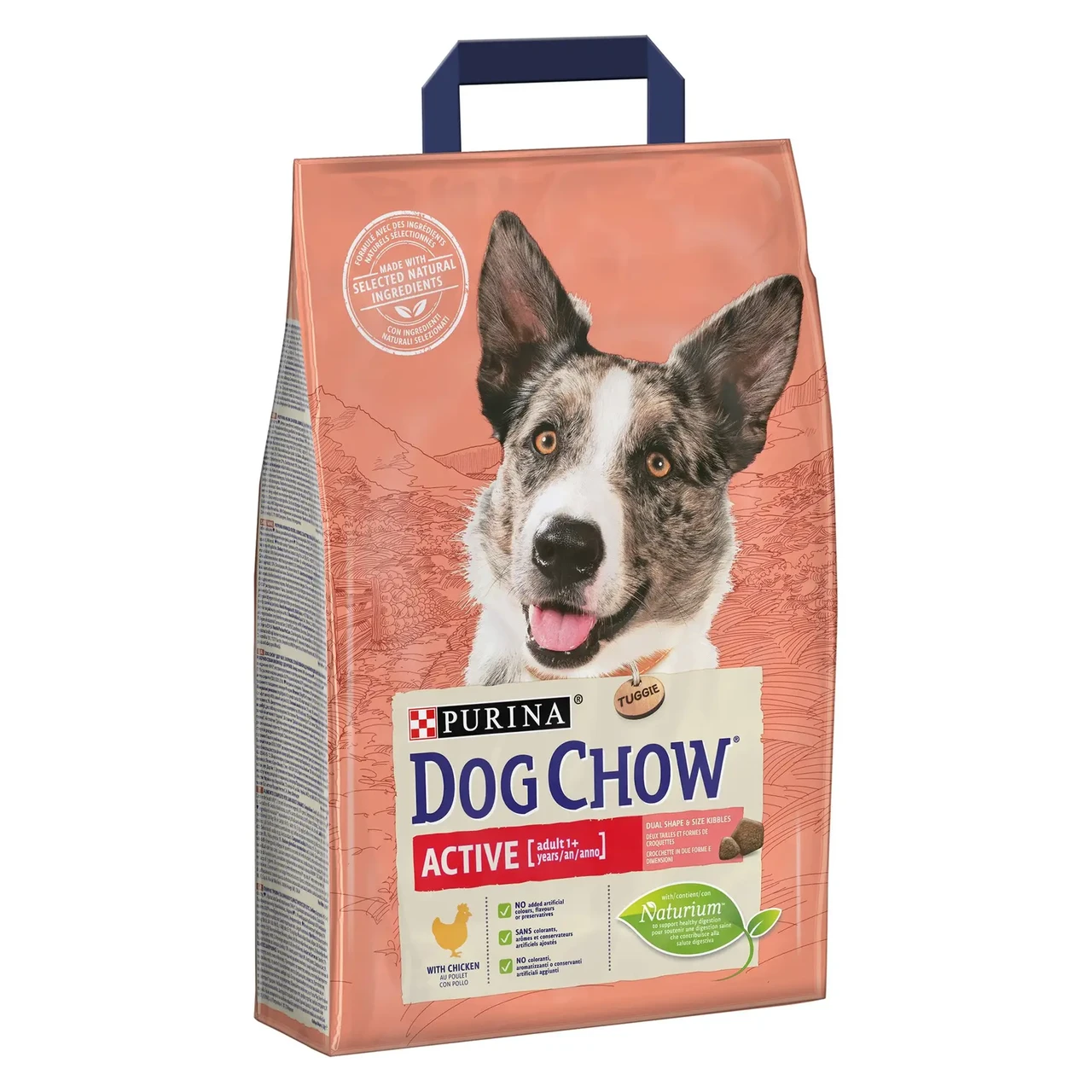 Сухий корм для активних собак усіх порід Dog Chow Active Chicken 2.5 кг (курка)