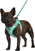 Шлейка для собак с набором поводков, регулируемая светоотражающая шлейка для щенков без натяжения