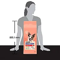 Сухий корм для активних собак усіх порід Dog Chow Active Chicken 14 кг (курка), фото 8
