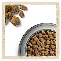 Сухий корм для активних собак усіх порід Dog Chow Active Chicken 14 кг (курка), фото 6