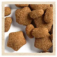 Сухий корм для активних собак усіх порід Dog Chow Active Chicken 14 кг (курка), фото 5