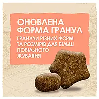 Сухий корм для активних собак усіх порід Dog Chow Active Chicken 14 кг (курка), фото 7
